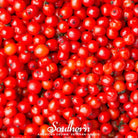 Elderberry, Pacific Red (Sambucus callicarpa) - 50 Seeds seed packet from Seed Therapy – American - grown, heirloom seeds