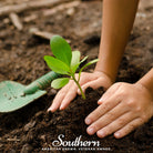 Kids Garden Seed Collection - 10 Varieties seed packet from Seed Therapy – American - grown, heirloom seeds