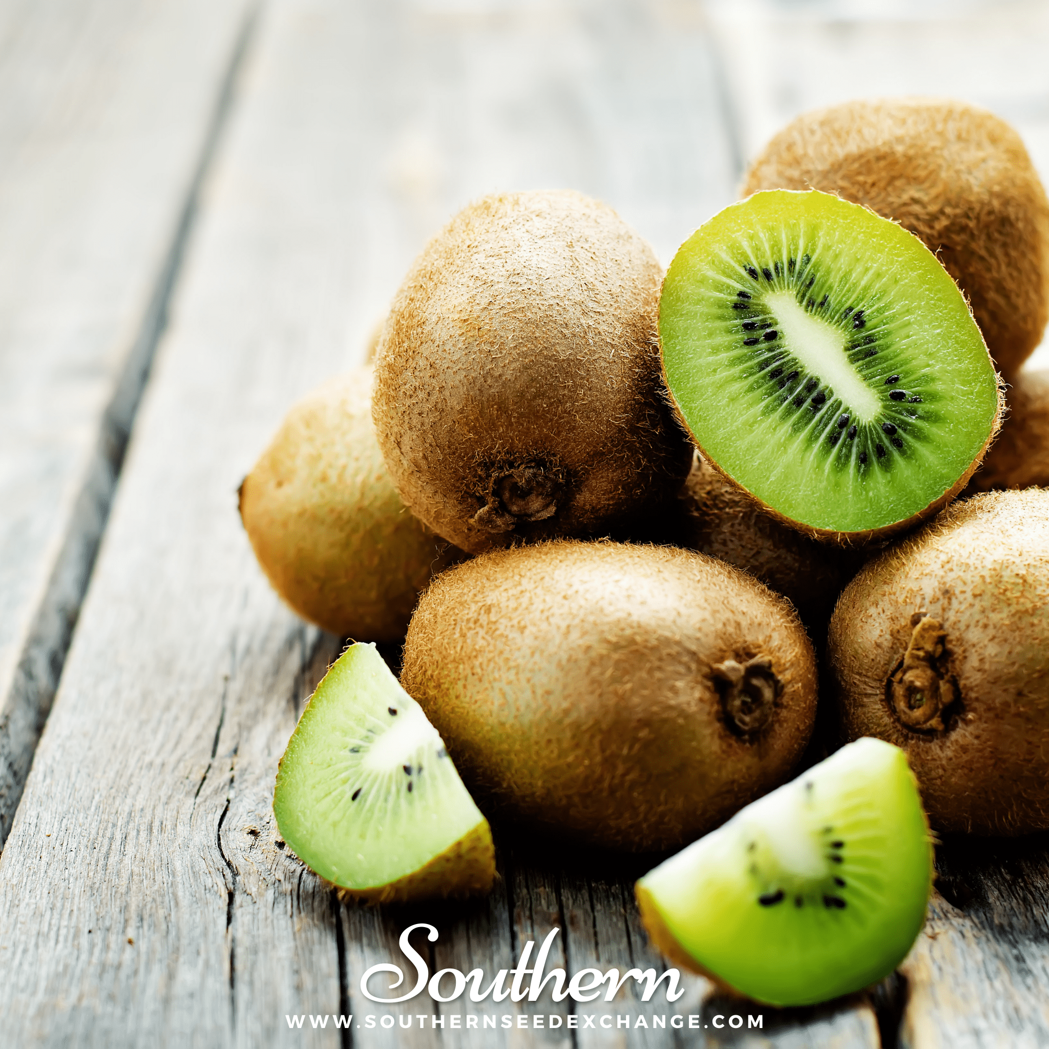 Kiwi Fruit (Actinidia chinensis) - 100 Seeds seed packet from Seed Therapy – American - grown, heirloom seeds