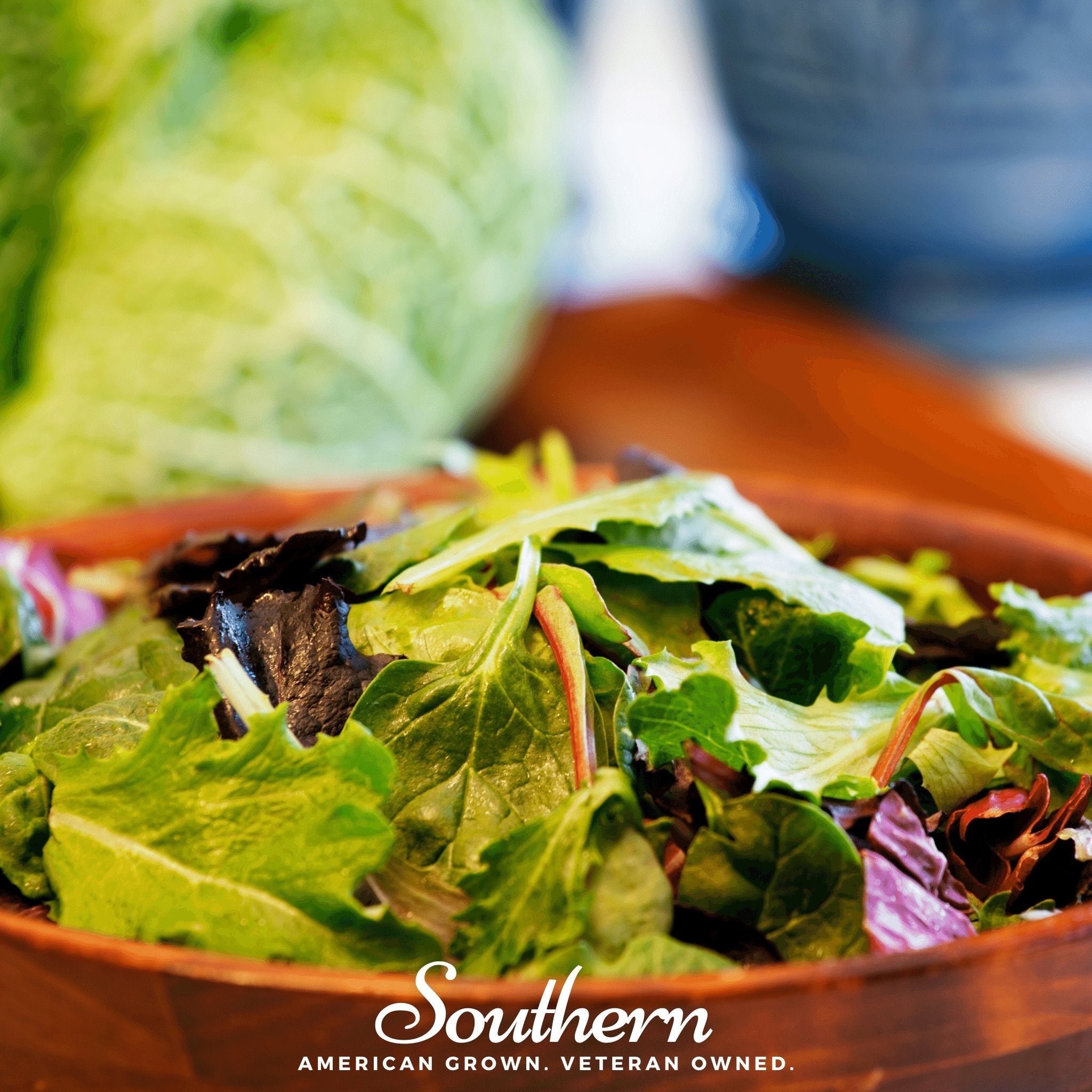 Lettuce, Mesclun Mix (Lactuca sativa) - 500 Seeds seed packet from Seed Therapy – American - grown, heirloom seeds