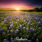 Lupine, Texas Bluebonnet (Lupinus texensis) - 50 Seeds seed packet from Seed Therapy – American - grown, heirloom seeds