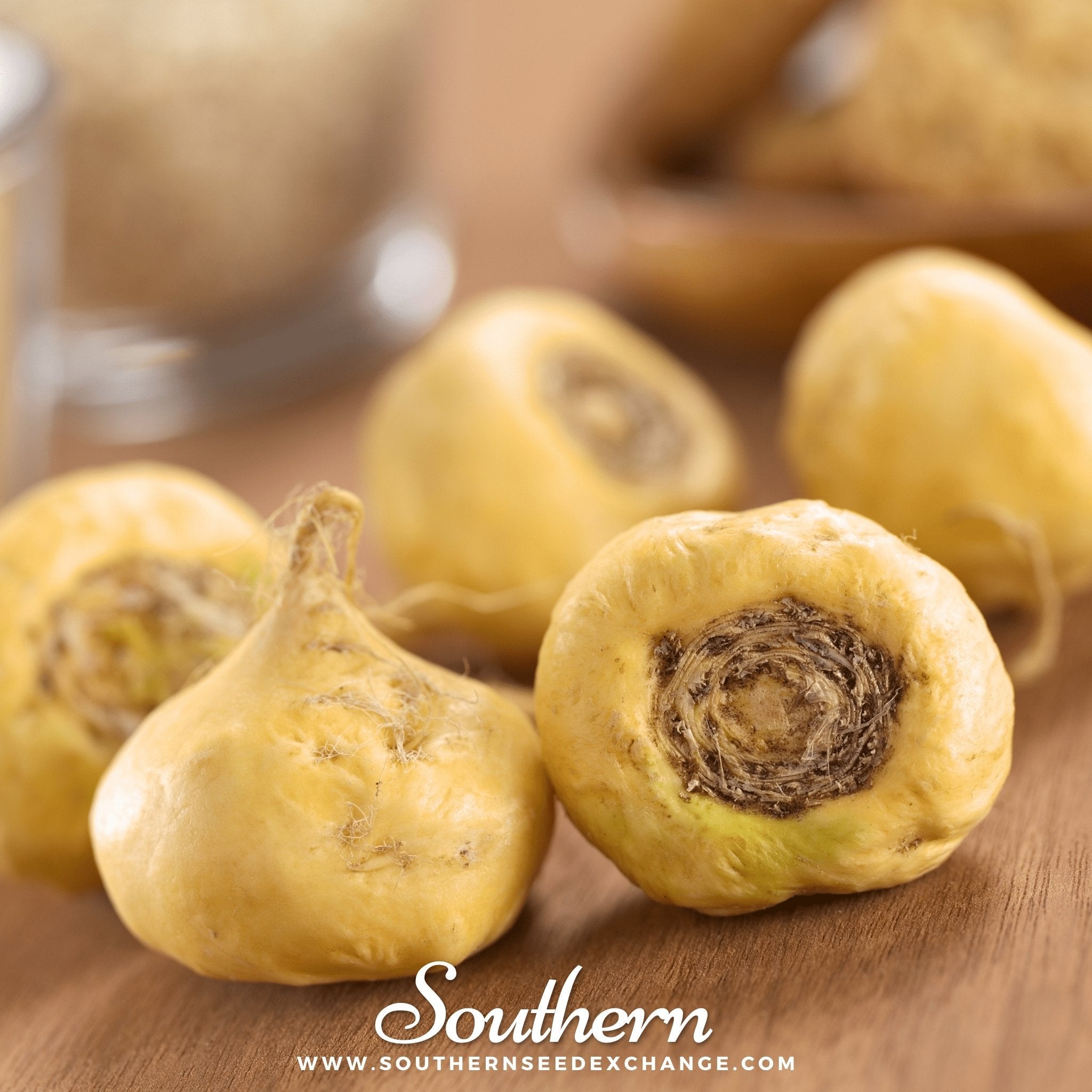 Maca (lepidium meyenii) - 25 Seeds seed packet from Seed Therapy – American - grown, heirloom seeds