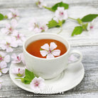 Marshmallow (Althaea Officinalis) - 50 Seeds seed packet from Seed Therapy – American - grown, heirloom seeds