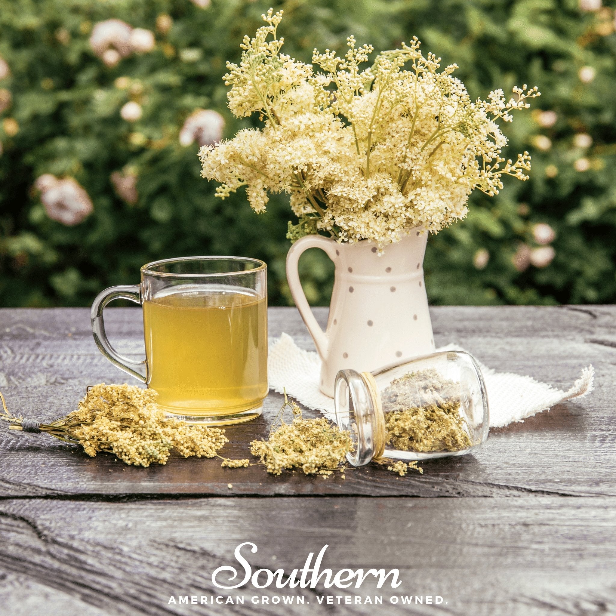 Meadowsweet (Filipendula ulmaria) - 50 Seeds seed packet from Seed Therapy – American - grown, heirloom seeds