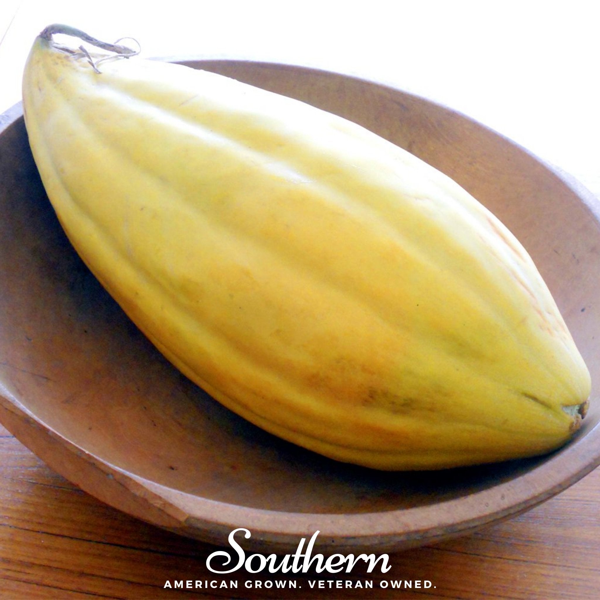 Melon, Banana (Cucumis melo) - 20 Seeds | Seed Therapy – Heirloom Garden Seeds