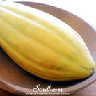 Melon, Banana (Cucumis melo) - 20 Seeds seed packet from Seed Therapy – American - grown, heirloom seeds