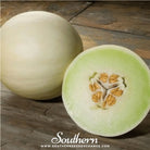 Melon, Green Flesh Honeydew (Cucumis melo) - 20 Seeds seed packet from Seed Therapy – American - grown, heirloom seeds