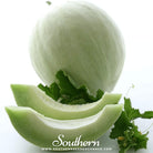Melon, Green Flesh Honeydew (Cucumis melo) - 20 Seeds seed packet from Seed Therapy – American - grown, heirloom seeds