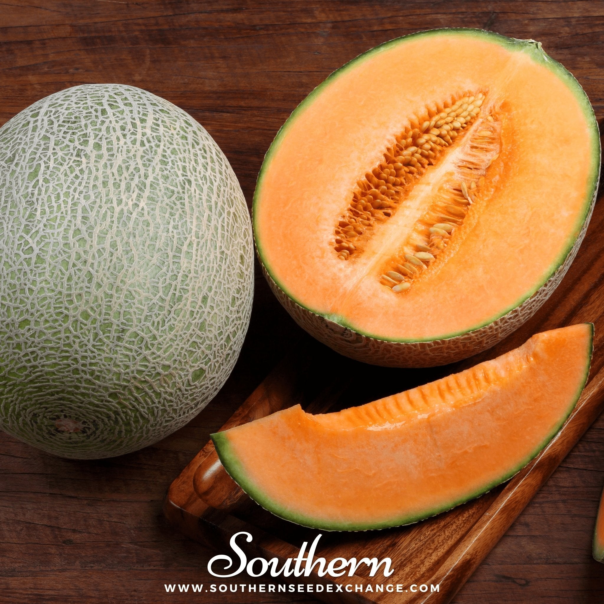 Melon, Hales Best Jumbo Cantaloupe (Cucumis melo var. cantalupensis) - 50 seeds | Seed Therapy – Heirloom Garden Seeds