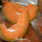 Melon, Hales Best Jumbo Cantaloupe (Cucumis melo) - 50 seeds seed packet from Seed Therapy – American - grown, heirloom seeds