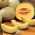 Melon Seed Collection (Watermelon • Cantaloupe • Honeydew) seed packet from Seed Therapy – American - grown, heirloom seeds