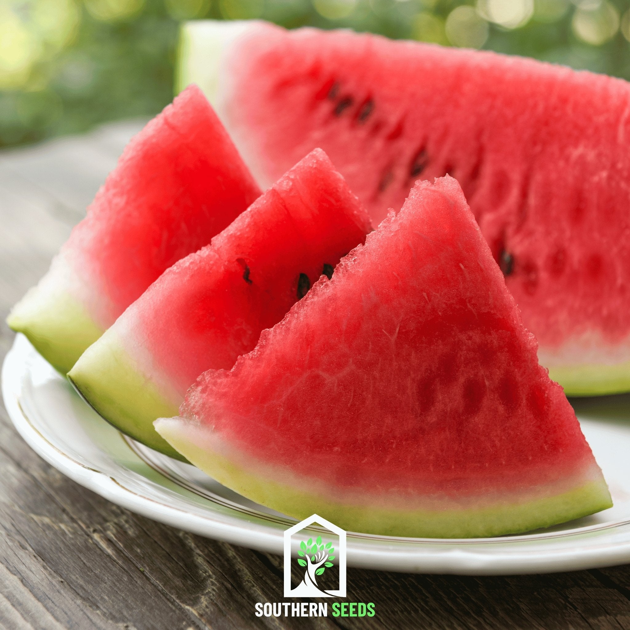 Melon Seed Collection (Watermelon • Cantaloupe • Honeydew) seed packet from Seed Therapy – American - grown, heirloom seeds
