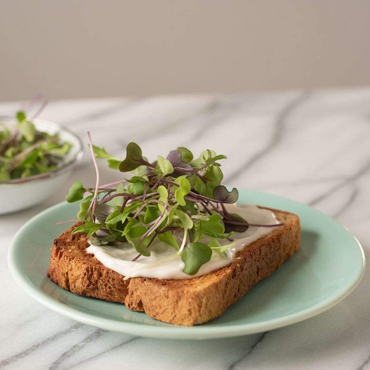 Microgreen, Southern Mild Mix - 8 grams seed packet from Seed Therapy – American - grown, heirloom seeds