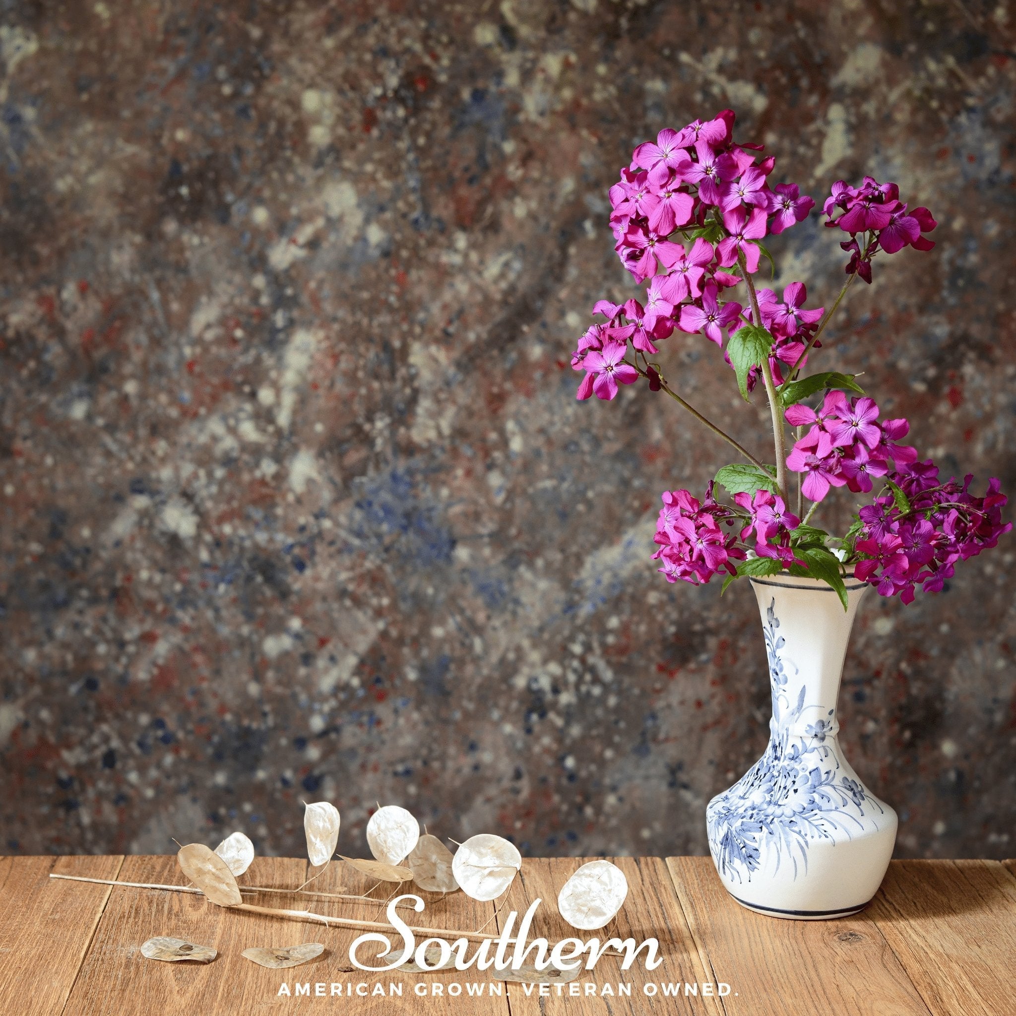 Money Plant (Lunaria biennis) - 20 Seeds seed packet from Seed Therapy – American - grown, heirloom seeds