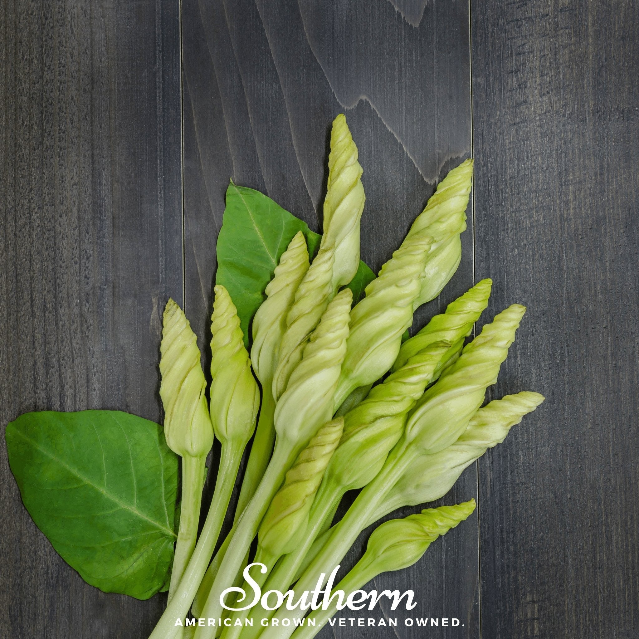 Moonflower (Ipomoea Alba) - 25 Seeds seed packet from Seed Therapy – American - grown, heirloom seeds