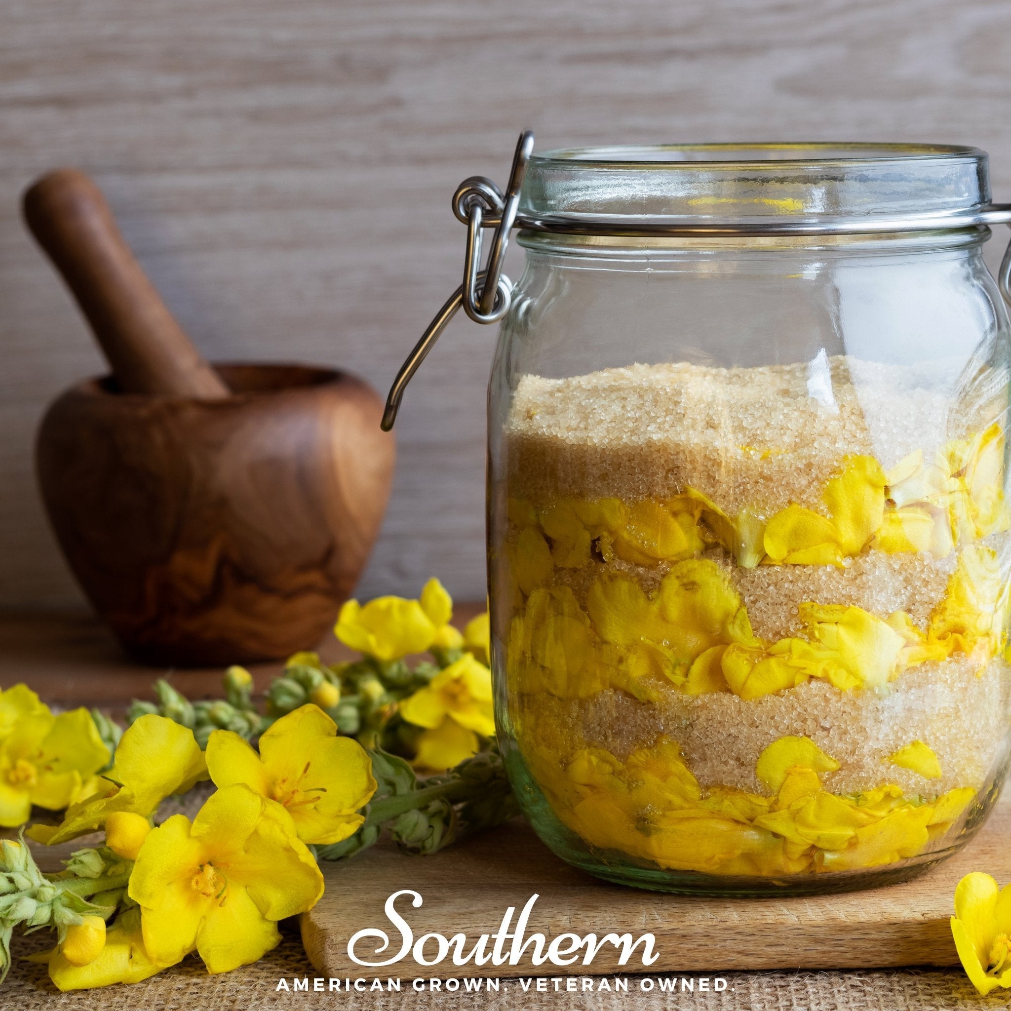 Mullein, Common (Verbascum thapsus) - 100 Seeds seed packet from Seed Therapy – American - grown, heirloom seeds