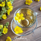 Mullein, Greek (Verbascum olympicum) - 100 Seeds seed packet from Seed Therapy – American - grown, heirloom seeds