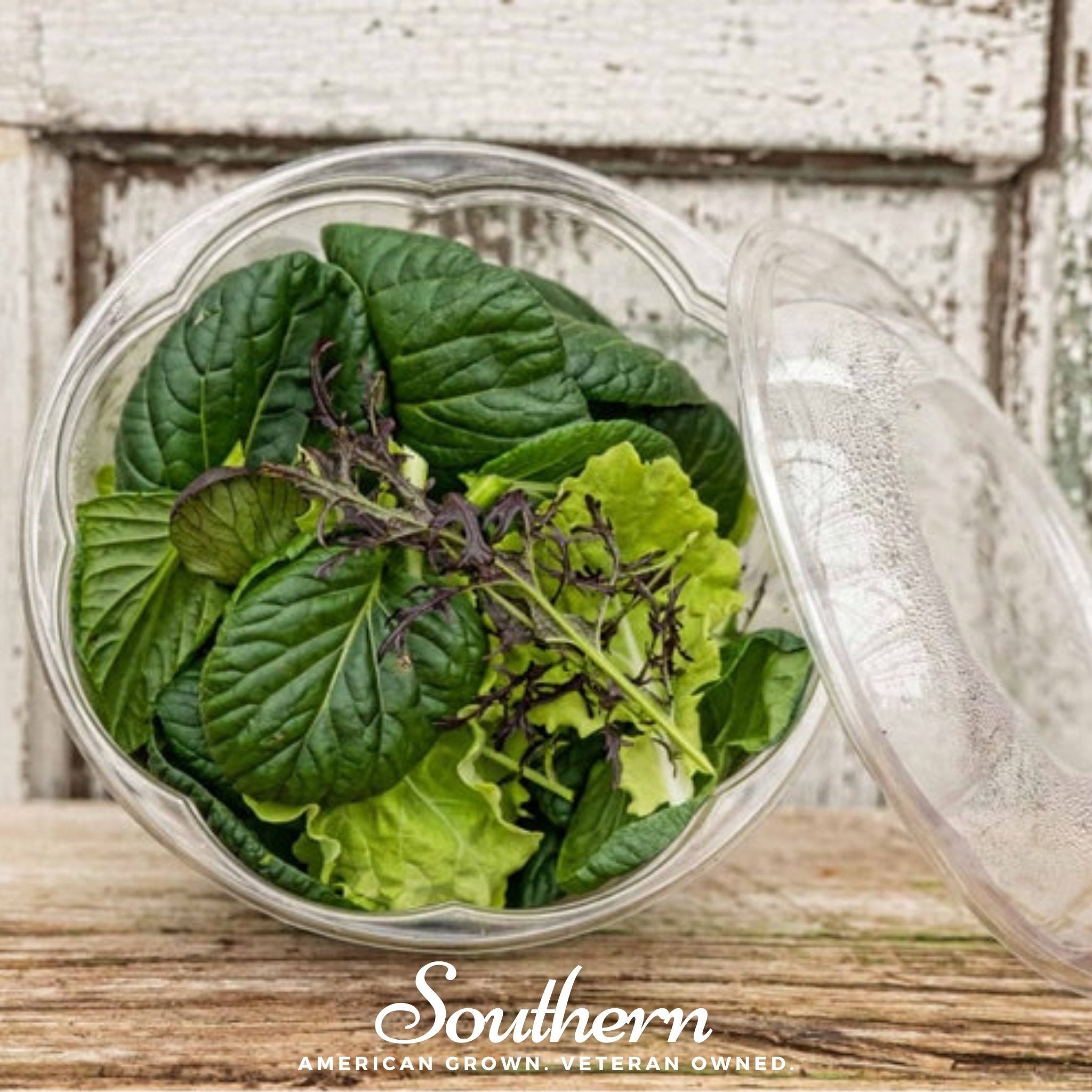 Mustard, Tatsoi (Brassica rapa) - 100 Seeds seed packet from Seed Therapy – American - grown, heirloom seeds