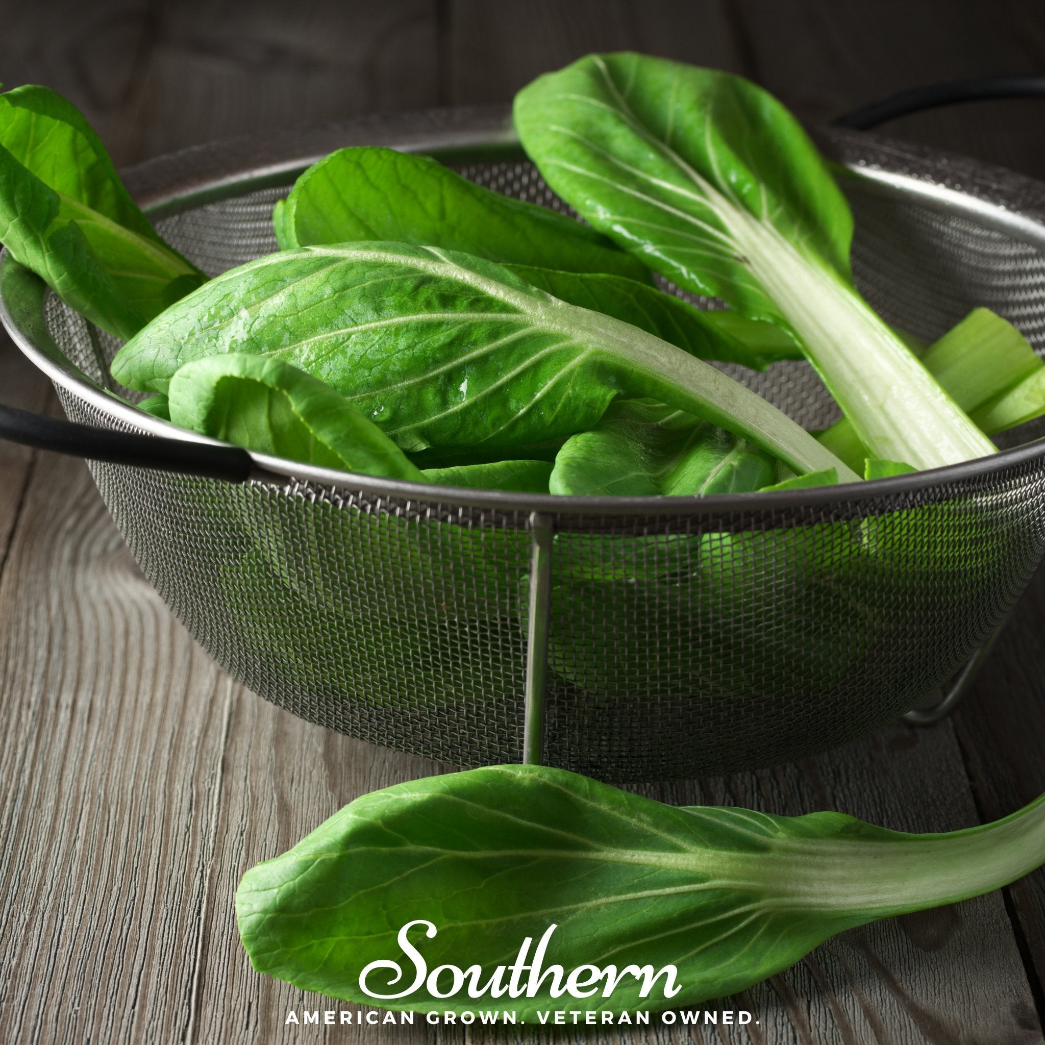 Mustard, Tatsoi (Brassica rapa) - 100 Seeds seed packet from Seed Therapy – American - grown, heirloom seeds