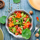 Nasturtium, Jewel Mix (Tropaeolum nanum) - 25 Seeds seed packet from Seed Therapy – American - grown, heirloom seeds