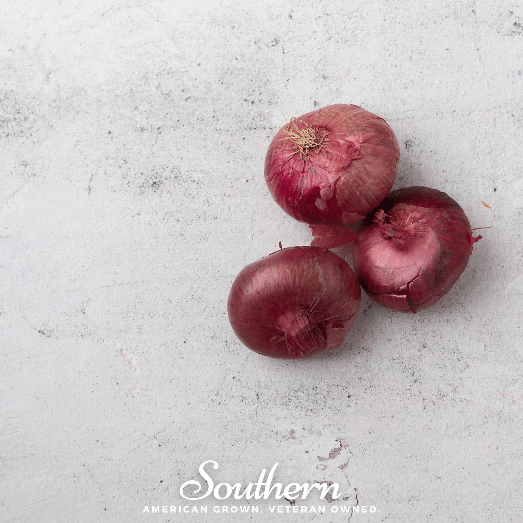 Onion, Cipollini Red (Allium fistulosum) - 100 seed packet from Seed Therapy – American - grown, heirloom seeds