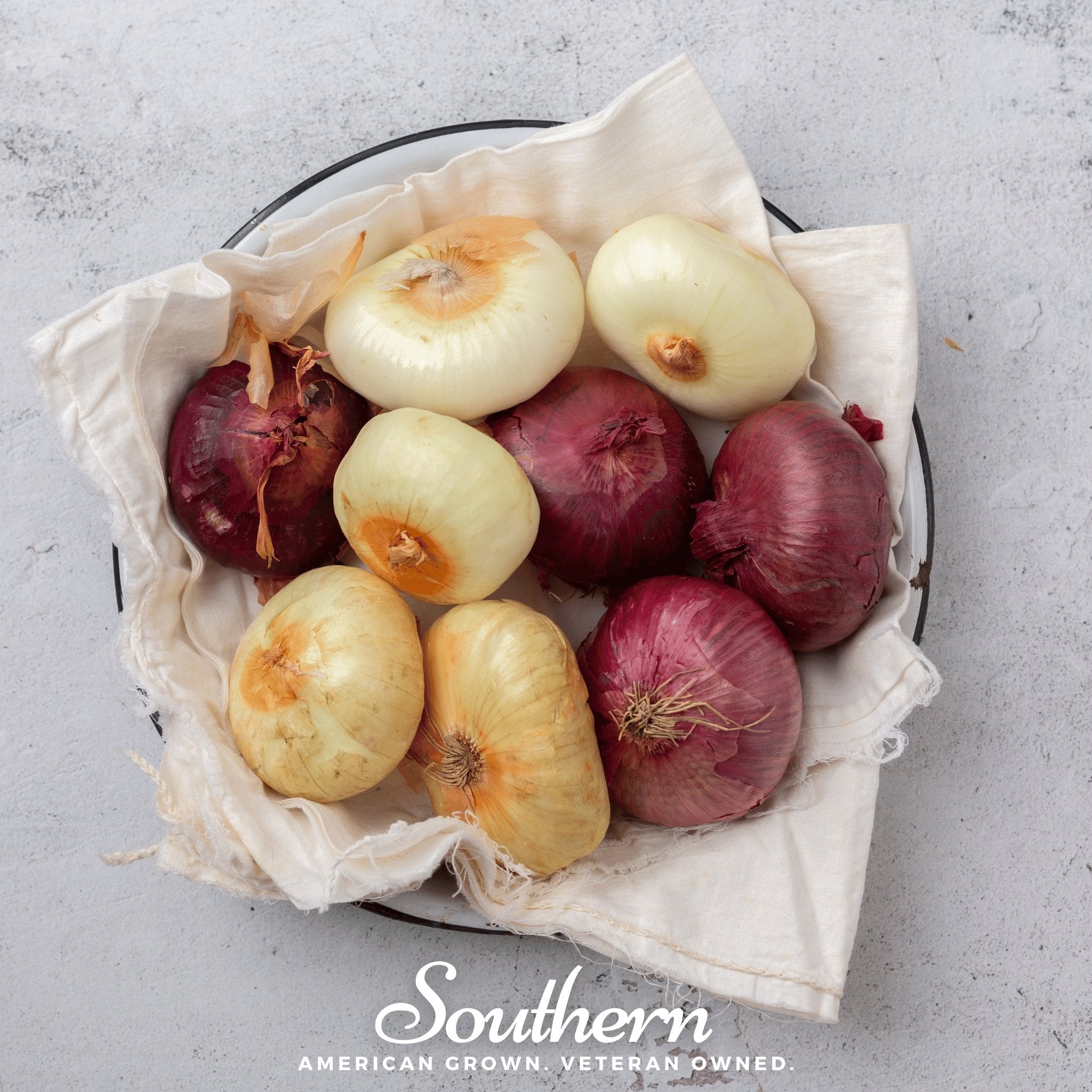 Onion, Cipollini Red (Allium fistulosum) - 100 seed packet from Seed Therapy – American - grown, heirloom seeds