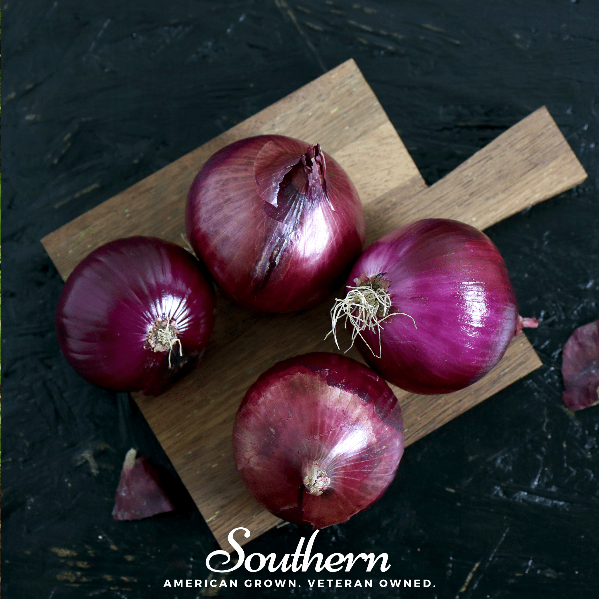 Onion, Red Burgundy (Allium cepa) - 200 Seeds seed packet from Seed Therapy – American - grown, heirloom seeds
