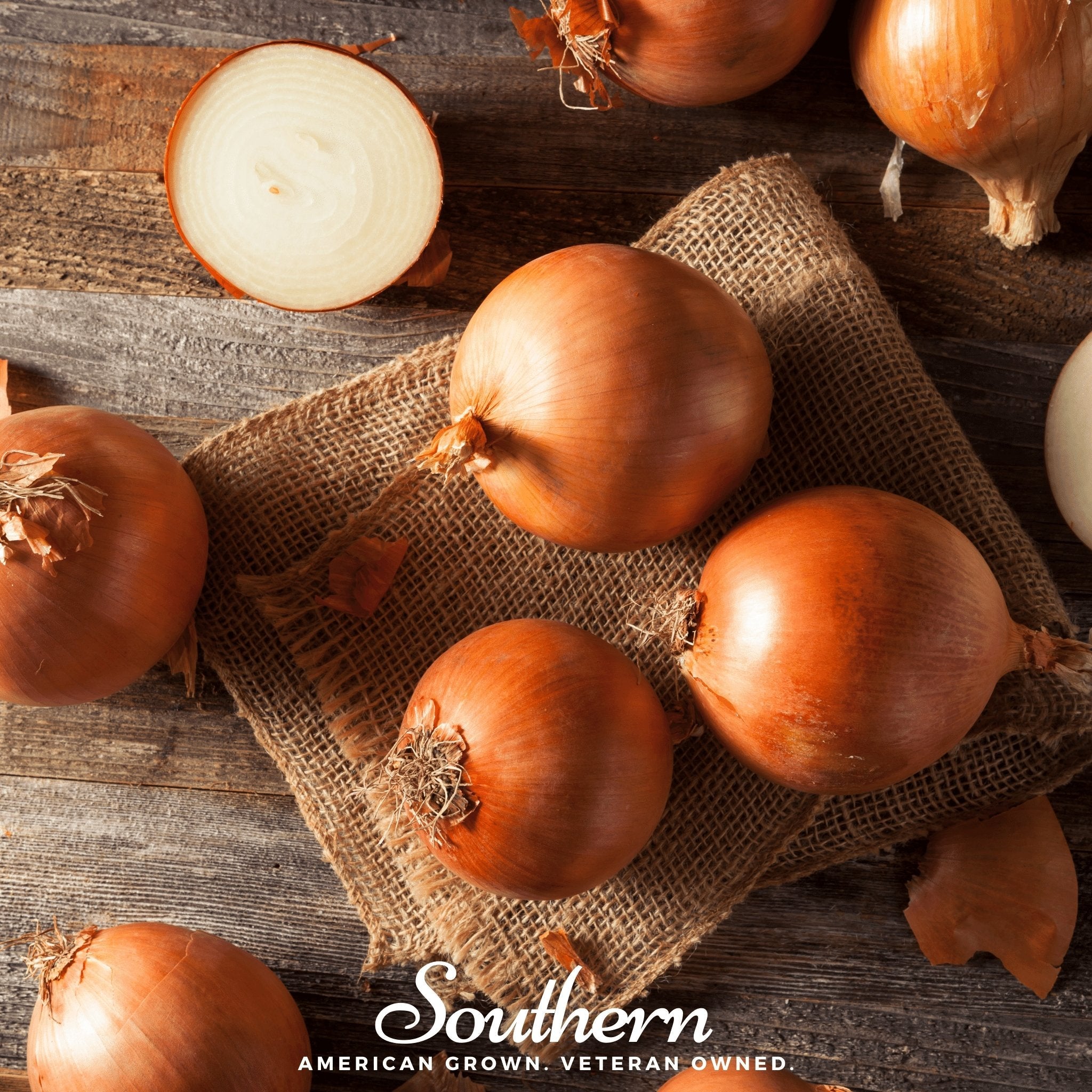 Onion, Spanish Yellow Sweet (Allium cepa) - 200 Seeds seed packet from Seed Therapy – American - grown, heirloom seeds