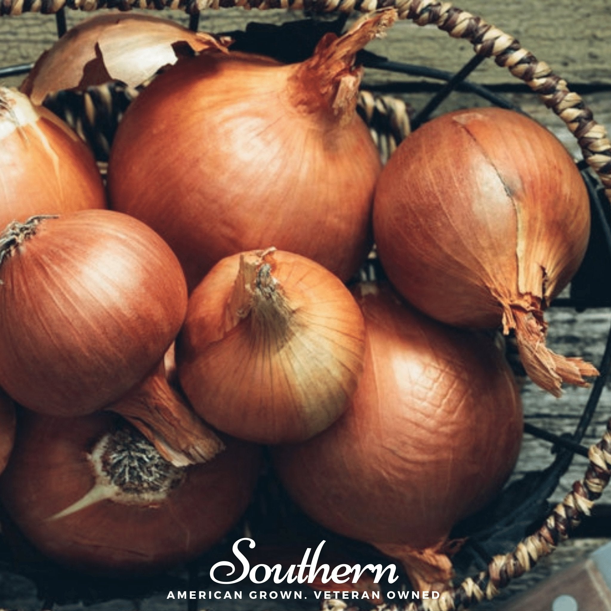 Onion, Spanish Yellow Sweet (Allium cepa) - 200 Seeds seed packet from Seed Therapy – American - grown, heirloom seeds