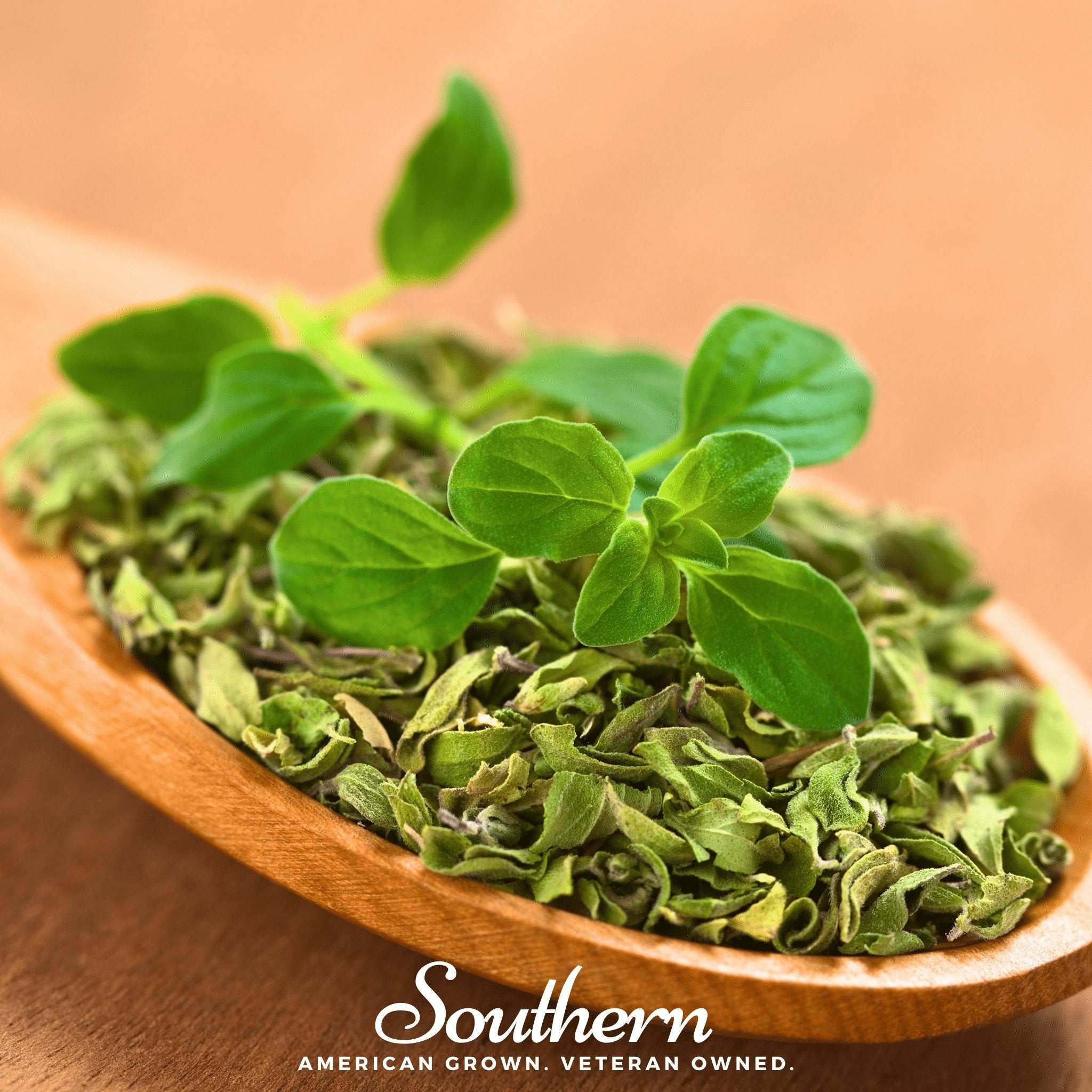 Oregano, Italian (Origanum vulgare) - 200 Seeds seed packet from Seed Therapy – American - grown, heirloom seeds