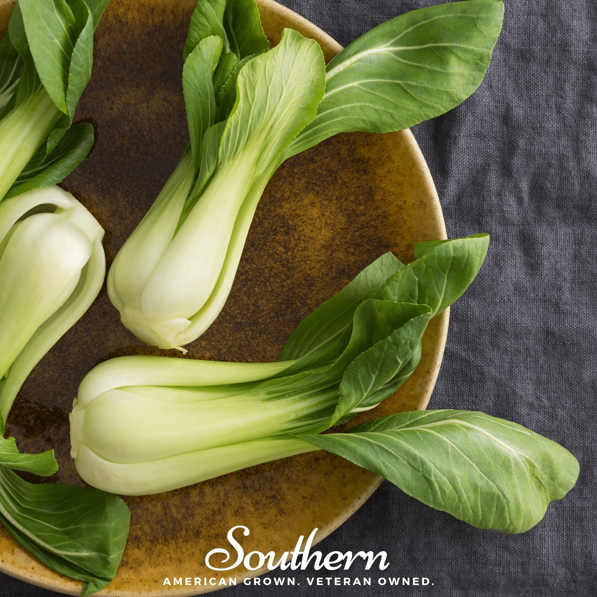 Pak Choi, Canton - Bok Choy (Brassica rapa) - 200 Seeds seed packet from Seed Therapy – American - grown, heirloom seeds