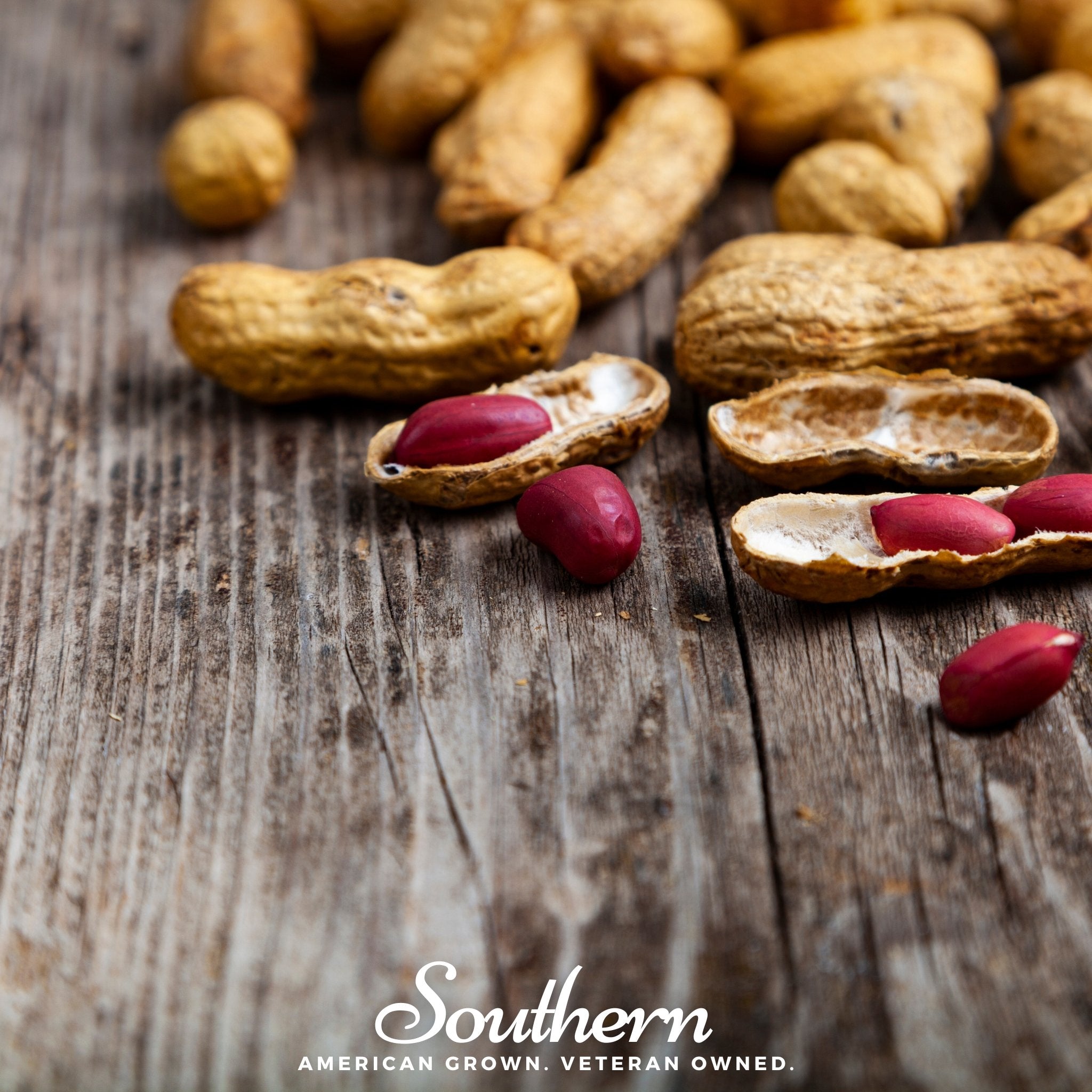 Peanuts, Tennessee Red (Arachis hypogaea) - 10 Seeds seed packet from Seed Therapy – American - grown, heirloom seeds