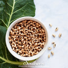 Peas, California Blackeye (Vigna unguiculata) - 50 Seeds seed packet from Seed Therapy – American - grown, heirloom seeds