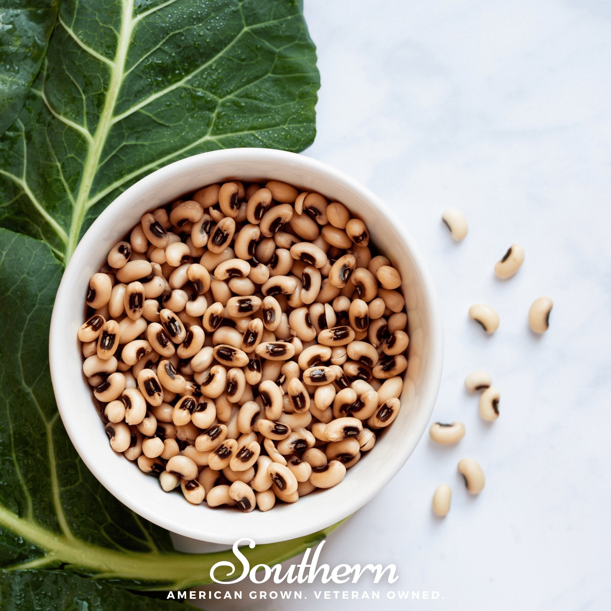 Peas, California Blackeye (Vigna unguiculata) - 50 Seeds seed packet from Seed Therapy – American - grown, heirloom seeds