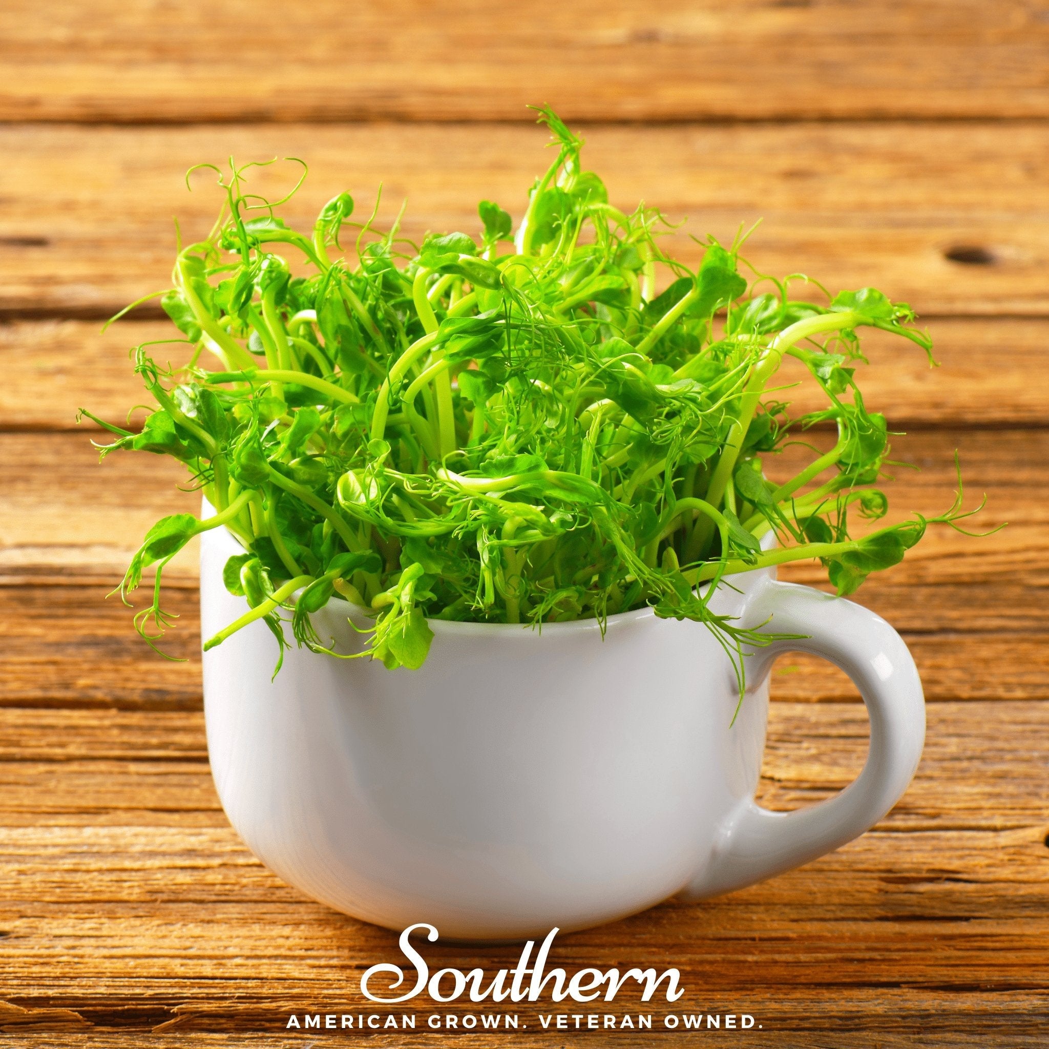 Peas, Dwarf Grey Sugar (Pisum sativum) - 100 Seeds seed packet from Seed Therapy – American - grown, heirloom seeds