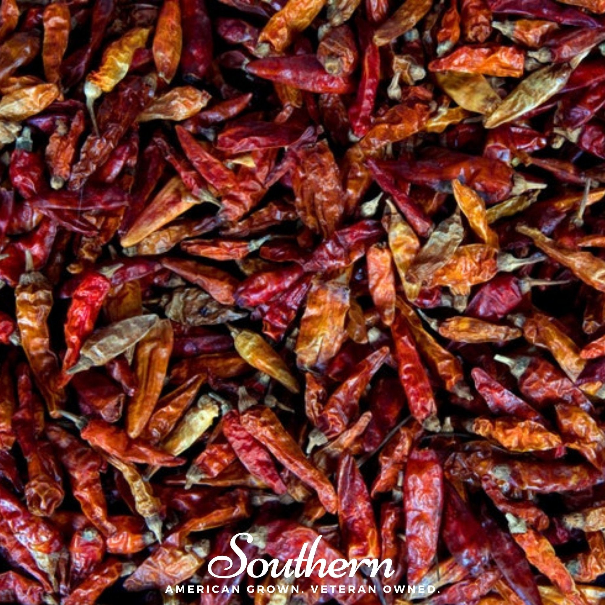 Pepper, Birds Eye Chili (Capscium annuum) - 30 Seeds seed packet from Seed Therapy – American - grown, heirloom seeds