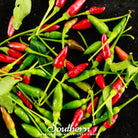 Pepper, Birds Eye Chili (Capscium annuum) - 30 Seeds seed packet from Seed Therapy – American - grown, heirloom seeds
