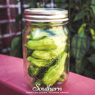 Pepper, Pepperoncini (Capsicum annuum) - 25 Seeds seed packet from Seed Therapy – American - grown, heirloom seeds