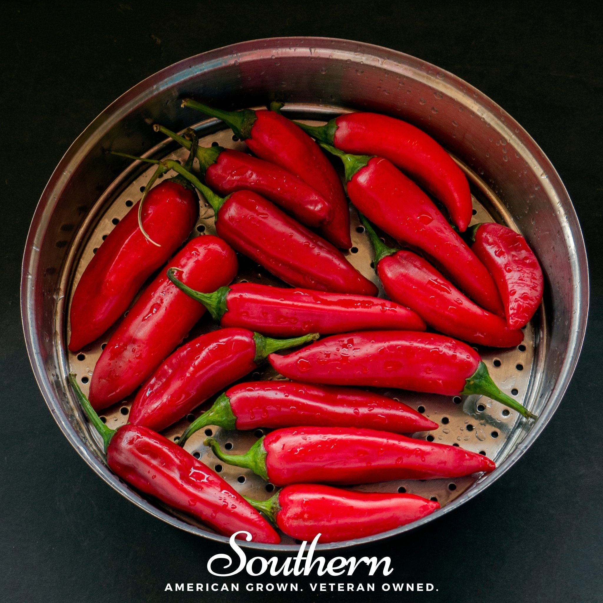 Pepper, Tabasco (Capsicum frutescens) - 50 Seeds seed packet from Seed Therapy – American - grown, heirloom seeds