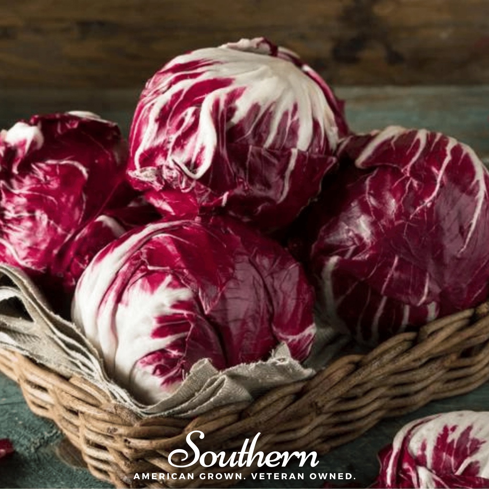 Radicchio, Palla Rossa - Italian Chicory (Cichorium intybus) - 100 Seeds seed packet from Seed Therapy – American - grown, heirloom seeds
