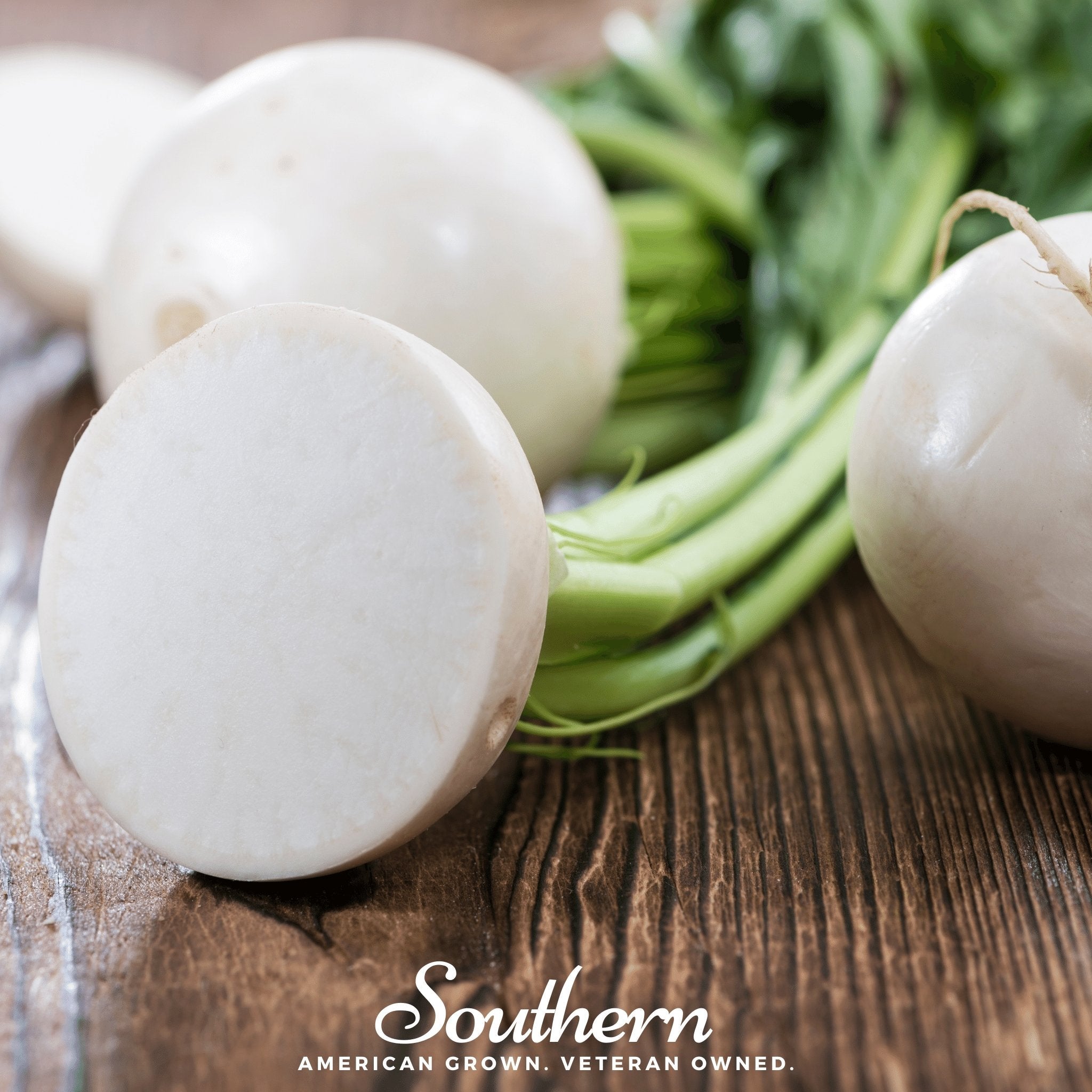 Radish, Hailstone (Raphanus sativus) - 100 Seeds seed packet from Seed Therapy – American - grown, heirloom seeds