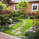 Rupturewort - Green Carpet (Herniaria Glabra) - 100 Seeds seed packet from Seed Therapy – American - grown, heirloom seeds