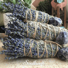 Sage, Blue (Salvia farinacea) - 100 Seeds seed packet from Seed Therapy – American - grown, heirloom seeds