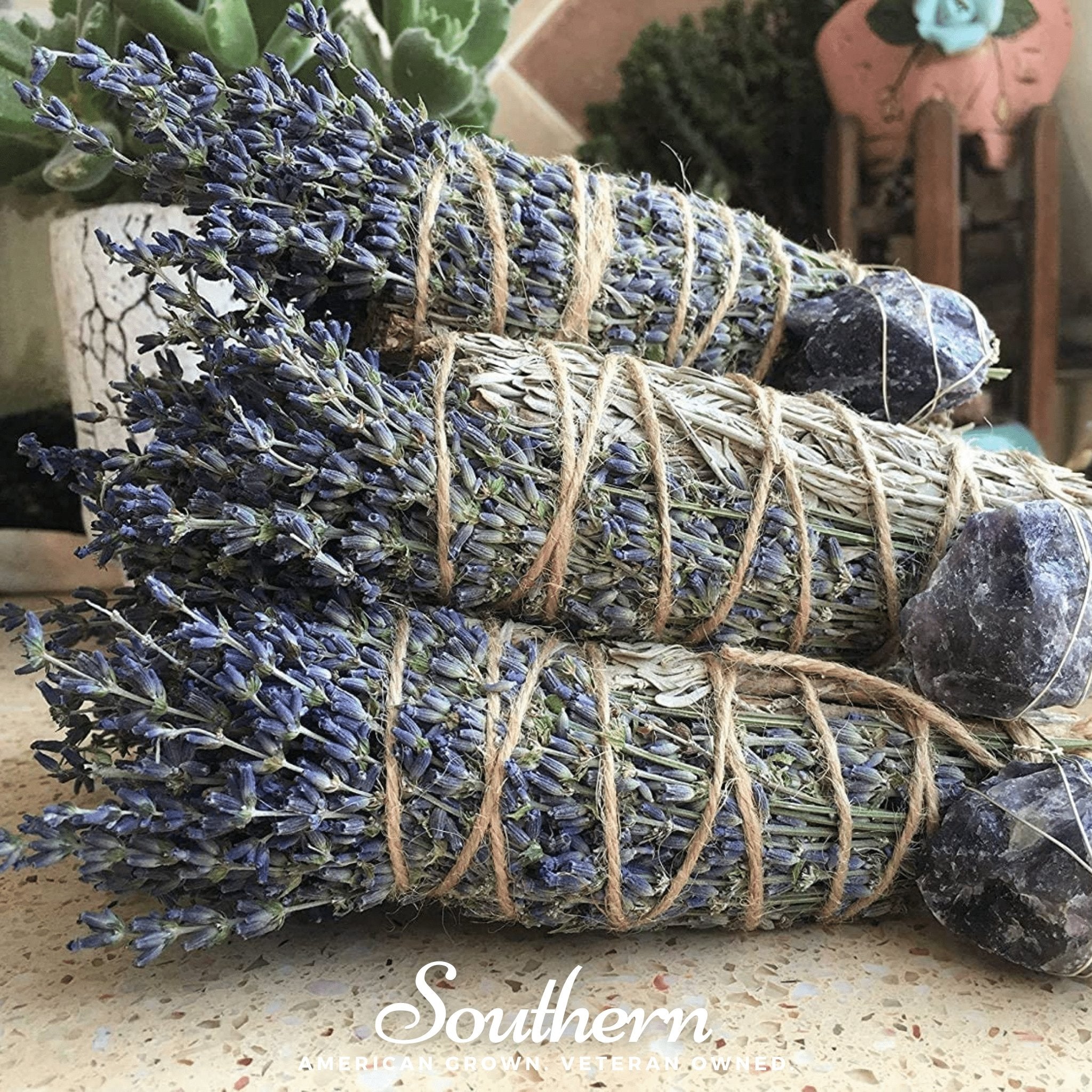Sage, Blue (Salvia farinacea) - 100 Seeds seed packet from Seed Therapy – American - grown, heirloom seeds