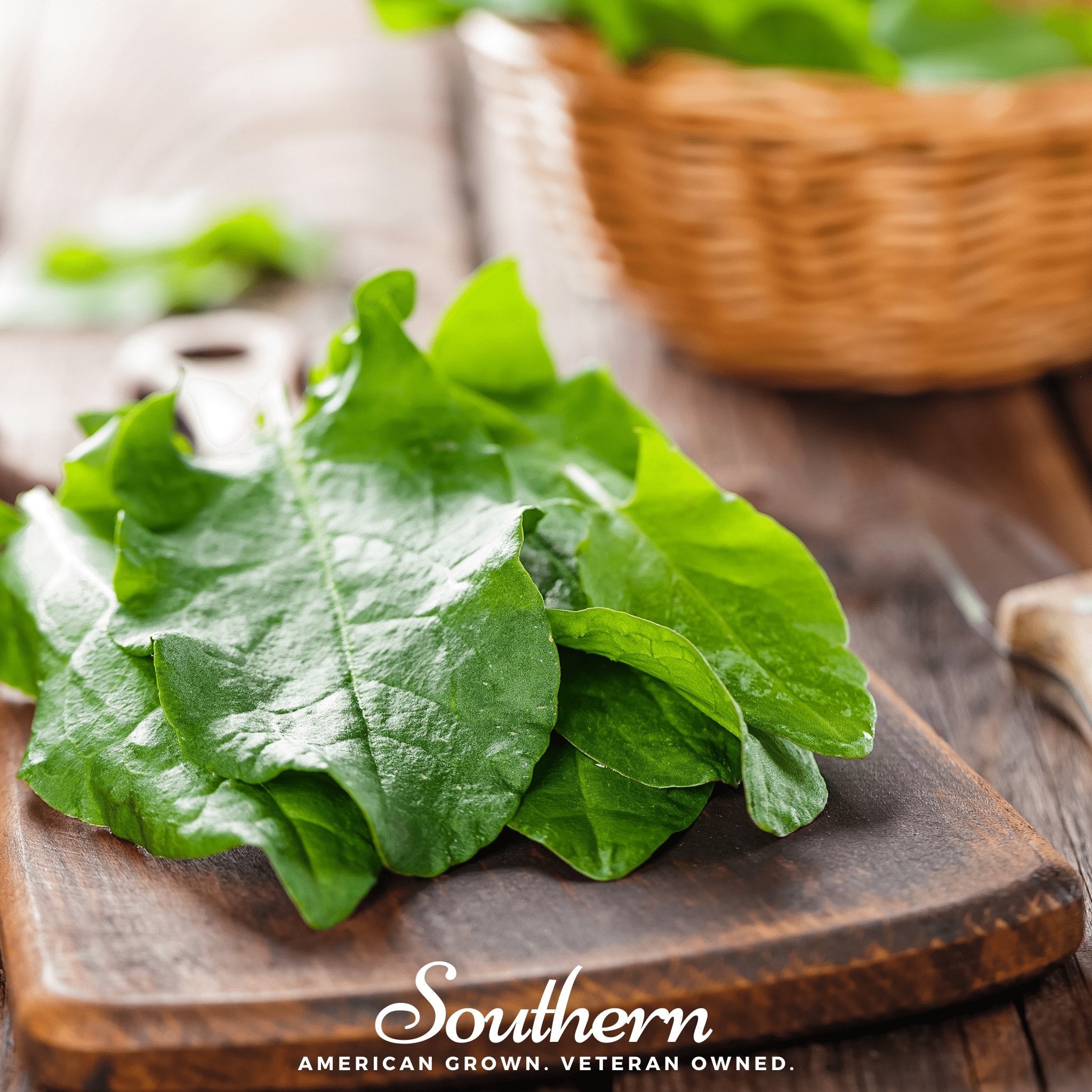 Sorrel, Garden (Rumex Acetosa) - 200 Seeds seed packet from Seed Therapy – American - grown, heirloom seeds