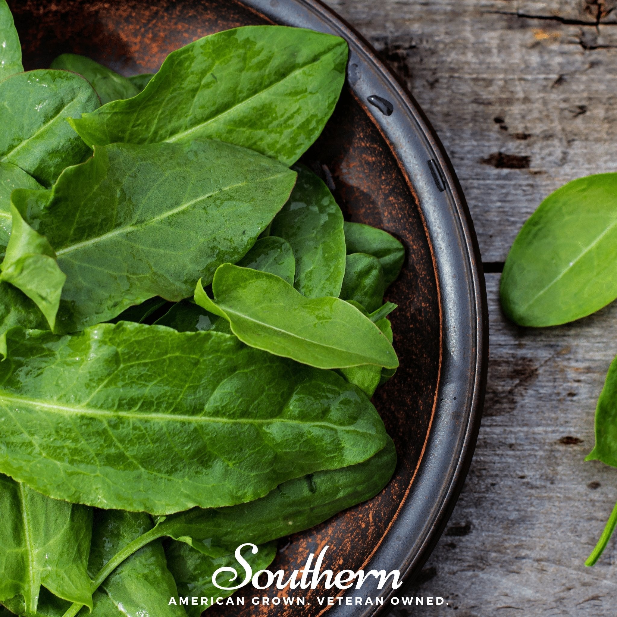 Sorrel, Garden (Rumex Acetosa) - 200 Seeds seed packet from Seed Therapy – American - grown, heirloom seeds