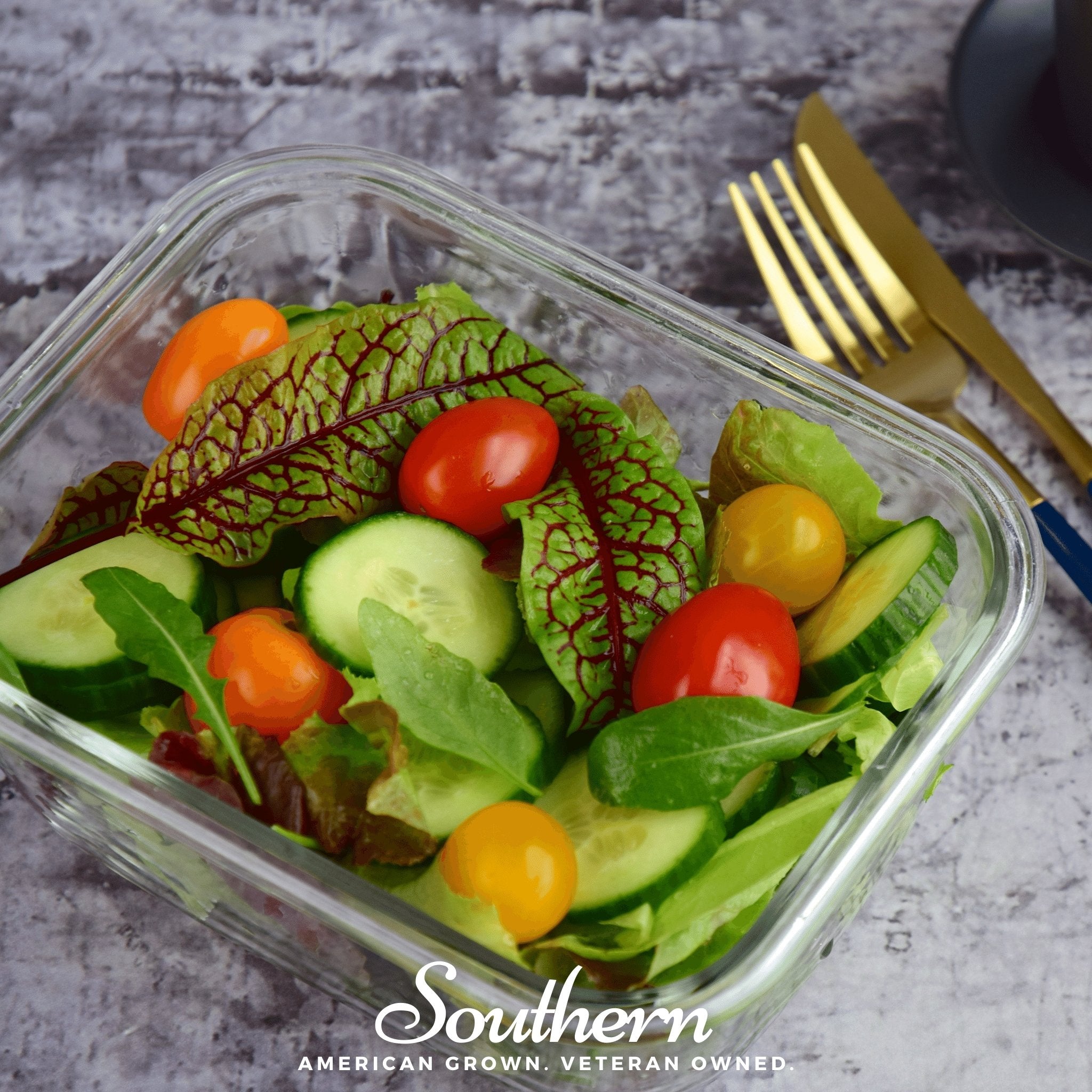 Sorrel, Red Veined (Rumex sanguineus) - 200 Seeds seed packet from Seed Therapy – American - grown, heirloom seeds