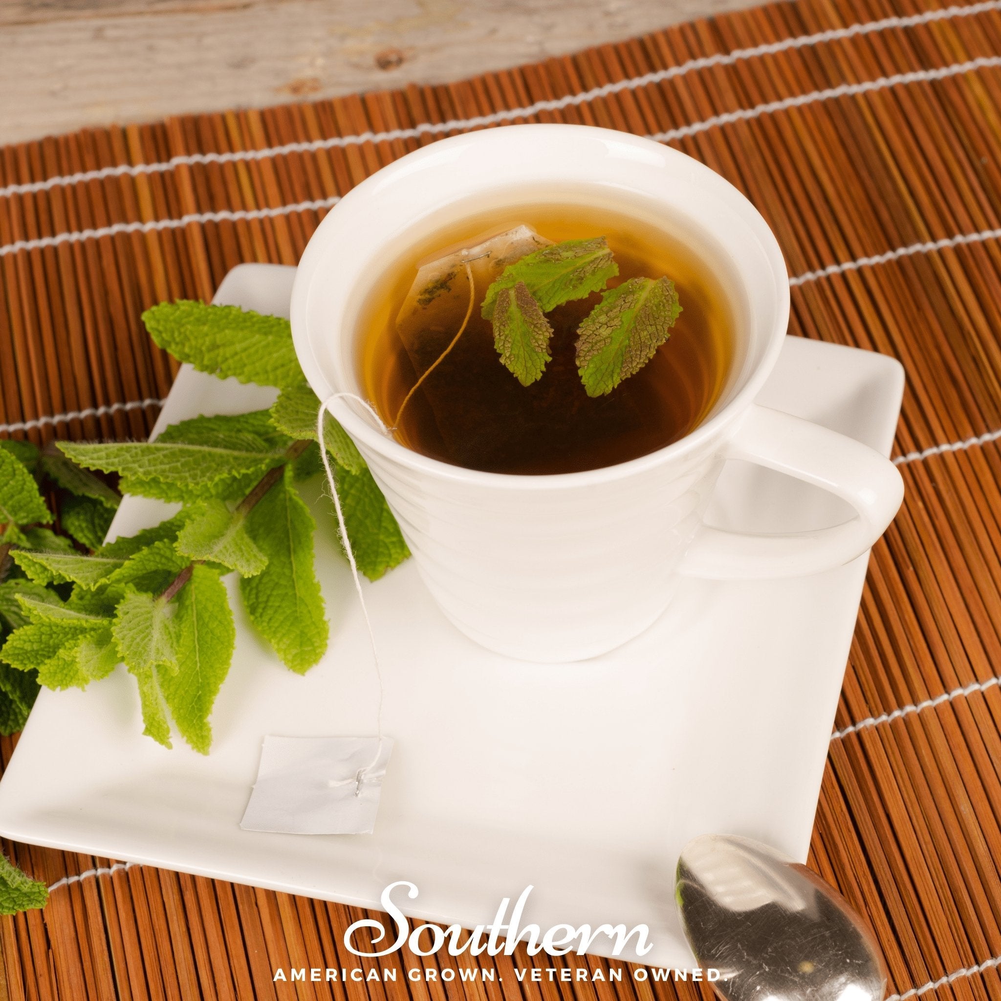 Spearmint (Mentha Spicata) - 200 Seeds seed packet from Seed Therapy – American - grown, heirloom seeds