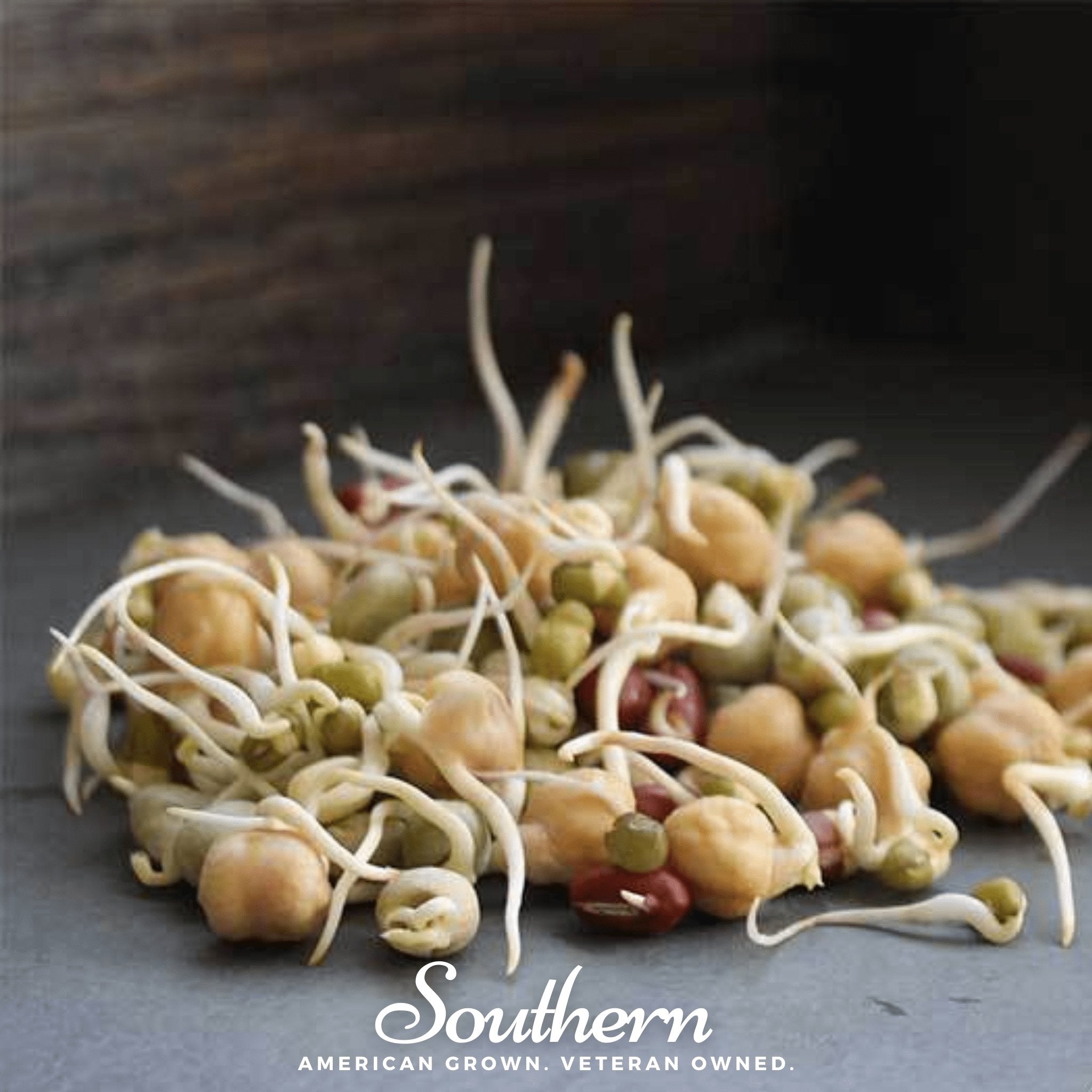 Sprout, Protein Mix - 1 ounce seed packet from Seed Therapy – American - grown, heirloom seeds