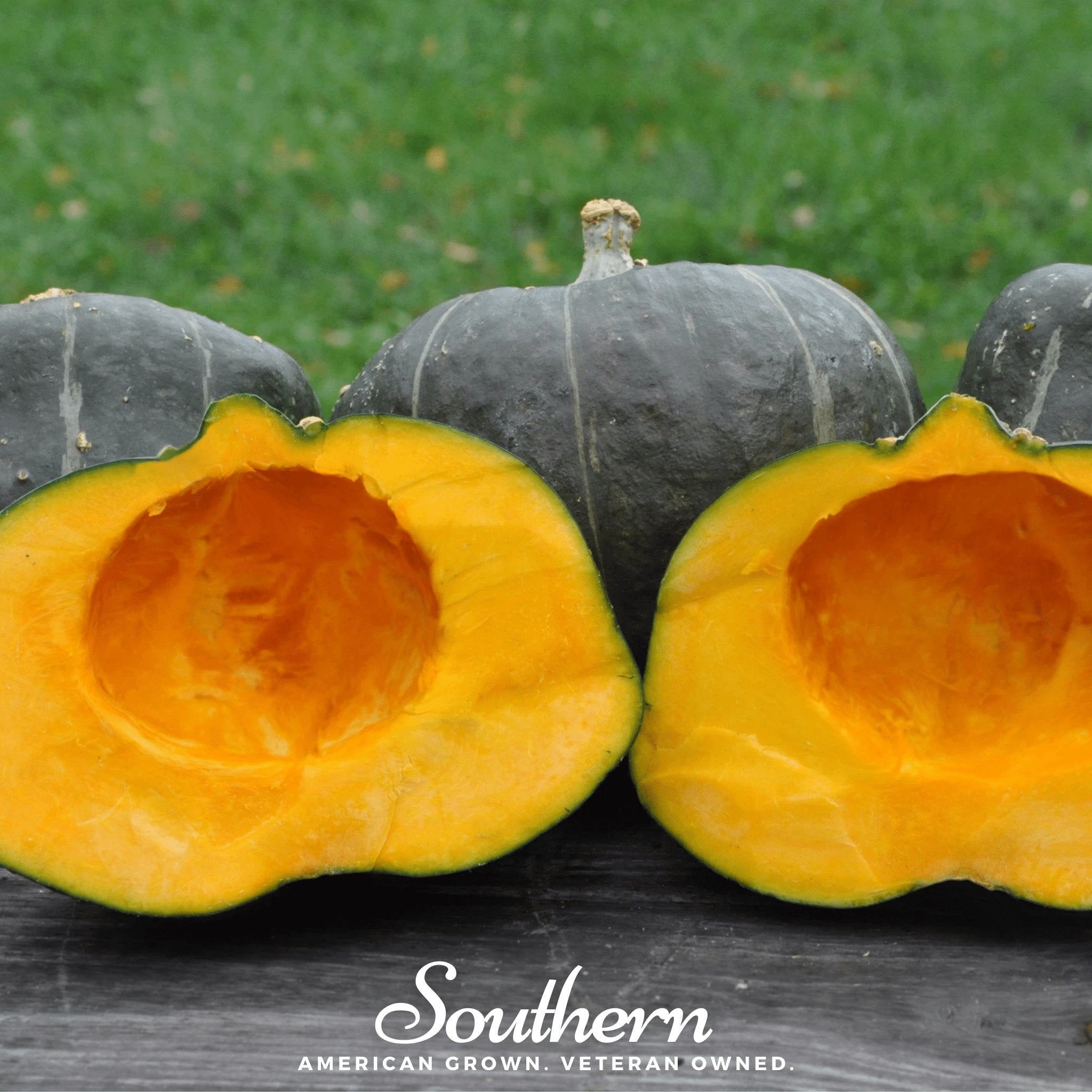 Squash, Buttercup Burgess Winter (Cucurbita maxima) - 20 Seeds seed packet from Seed Therapy – American - grown, heirloom seeds